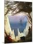 Chalk Cliffs on Rügen-Caspar David Friedrich-Mounted Giclee Print