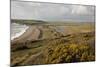 Chalk Downland and River Estuary. Seven Sisters Country Park, South Downs, England, November 2011-Peter Cairns-Mounted Photographic Print