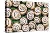 Chalk Grassland Snails Mass-null-Stretched Canvas