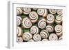 Chalk Grassland Snails Mass-null-Framed Photographic Print