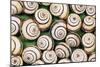 Chalk Grassland Snails Mass-null-Mounted Photographic Print