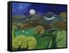 Chalk Horse Hill, 2010-Lisa Graa Jensen-Framed Stretched Canvas