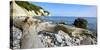 Chalk Rocks, Erratic Blocks, Driftwood, National Park Jasmund, Island RŸgen-Andreas Vitting-Stretched Canvas