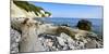 Chalk Rocks, Erratic Blocks, Driftwood, National Park Jasmund, Island RŸgen-Andreas Vitting-Mounted Photographic Print