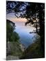 Chalk Rocks, Sunrise, National Park Jasmund, Island RŸgen, Mecklenburg-West Pomerania, Germany-Andreas Vitting-Mounted Photographic Print