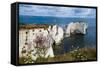 Chalk Stacks and Cliffs at Old Harry Rocks, Between Swanage and Purbeck, Dorset-Matthew Williams-Ellis-Framed Stretched Canvas