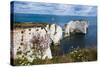 Chalk Stacks and Cliffs at Old Harry Rocks, Between Swanage and Purbeck, Dorset-Matthew Williams-Ellis-Stretched Canvas