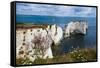 Chalk Stacks and Cliffs at Old Harry Rocks, Between Swanage and Purbeck, Dorset-Matthew Williams-Ellis-Framed Stretched Canvas