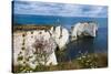 Chalk Stacks and Cliffs at Old Harry Rocks, Between Swanage and Purbeck, Dorset-Matthew Williams-Ellis-Stretched Canvas