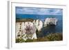 Chalk Stacks and Cliffs at Old Harry Rocks, Between Swanage and Purbeck, Dorset-Matthew Williams-Ellis-Framed Photographic Print