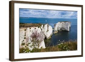 Chalk Stacks and Cliffs at Old Harry Rocks, Between Swanage and Purbeck, Dorset-Matthew Williams-Ellis-Framed Photographic Print