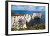 Chalk Stacks and Cliffs at Old Harry Rocks, Between Swanage and Purbeck, Dorset-Matthew Williams-Ellis-Framed Photographic Print