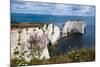 Chalk Stacks and Cliffs at Old Harry Rocks, Between Swanage and Purbeck, Dorset-Matthew Williams-Ellis-Mounted Photographic Print