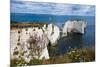 Chalk Stacks and Cliffs at Old Harry Rocks, Between Swanage and Purbeck, Dorset-Matthew Williams-Ellis-Mounted Photographic Print