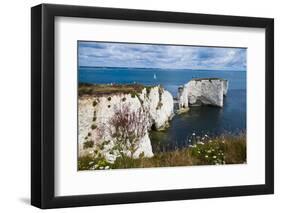 Chalk Stacks and Cliffs at Old Harry Rocks, Between Swanage and Purbeck, Dorset-Matthew Williams-Ellis-Framed Photographic Print