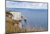 Chalk Stacks and Cliffs at Old Harry Rocks, Between Swanage and Purbeck, Dorset-Matthew Williams-Ellis-Mounted Photographic Print