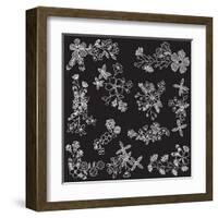 Chalk Style Hand Drawn Flowers-Pink Pueblo-Framed Art Print