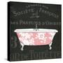 Chalkboard Bath II-Sue Schlabach-Stretched Canvas