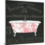 Chalkboard Bath II-Sue Schlabach-Mounted Premium Giclee Print