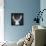 Chalkboard Elk-null-Framed Stretched Canvas displayed on a wall