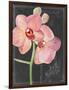 Chalkboard Flower I-Jennifer Parker-Framed Art Print