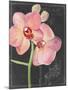 Chalkboard Flower I-Jennifer Parker-Mounted Art Print