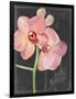 Chalkboard Flower I-Jennifer Parker-Framed Art Print