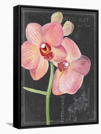 Chalkboard Flower I-Jennifer Parker-Framed Stretched Canvas