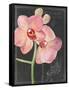 Chalkboard Flower I-Jennifer Parker-Framed Stretched Canvas