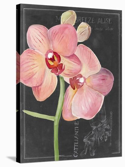 Chalkboard Flower I-Jennifer Parker-Stretched Canvas
