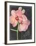 Chalkboard Flower I-Jennifer Parker-Framed Art Print