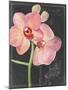 Chalkboard Flower I-Jennifer Parker-Mounted Art Print