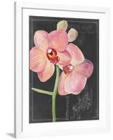 Chalkboard Flower I-Jennifer Parker-Framed Art Print