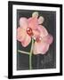 Chalkboard Flower I-Jennifer Parker-Framed Art Print