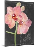 Chalkboard Flower I-Jennifer Parker-Mounted Art Print