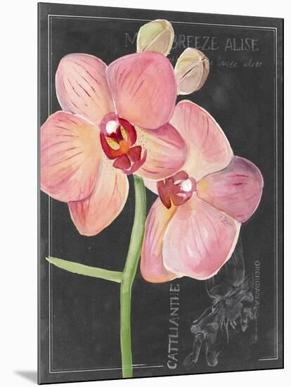 Chalkboard Flower I-Jennifer Parker-Mounted Art Print
