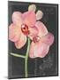 Chalkboard Flower I-Jennifer Parker-Mounted Art Print