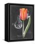 Chalkboard Flower III-Jennifer Parker-Framed Stretched Canvas