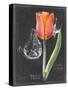 Chalkboard Flower III-Jennifer Parker-Stretched Canvas