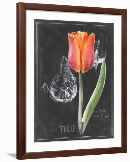 Chalkboard Flower III-Jennifer Parker-Framed Art Print