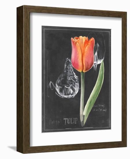 Chalkboard Flower III-Jennifer Parker-Framed Art Print