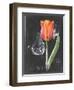 Chalkboard Flower III-Jennifer Parker-Framed Art Print