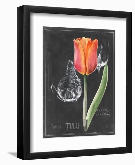 Chalkboard Flower III-Jennifer Parker-Framed Art Print