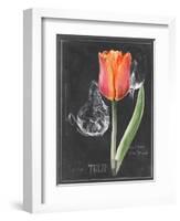 Chalkboard Flower III-Jennifer Parker-Framed Art Print