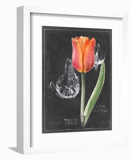 Chalkboard Flower III-Jennifer Parker-Framed Art Print