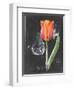 Chalkboard Flower III-Jennifer Parker-Framed Art Print