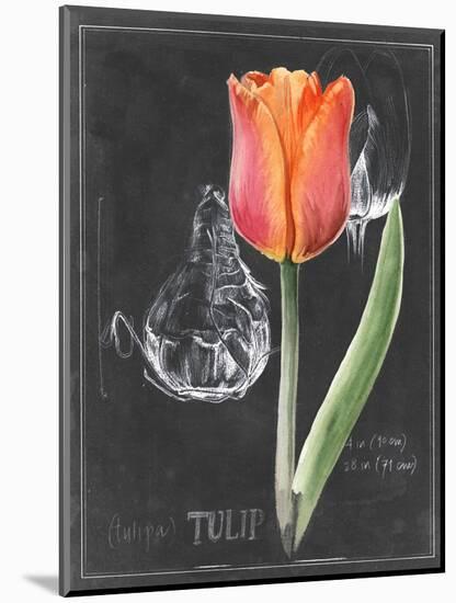 Chalkboard Flower III-Jennifer Parker-Mounted Art Print