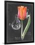 Chalkboard Flower III-Jennifer Parker-Framed Art Print