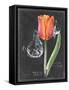 Chalkboard Flower III-Jennifer Parker-Framed Stretched Canvas