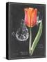 Chalkboard Flower III-Jennifer Parker-Stretched Canvas